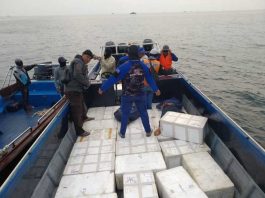 Penyeludupan benih lobster (2)