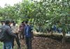Warga Prayun tewas Gantung Diri di Pohon Nangka Depan Rumahnya, Kamis, (21/11/2019).