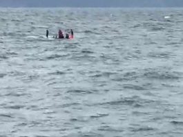 Ilustrasi kapal karam