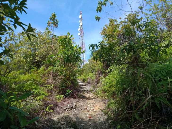 Pemda Anambas Terus Dorong Pemerintah Pusat Terkait Permasalahan Jaringan Internet Pemda Anambas Terus Dorong Pemerintah Pusat Terkait Permasalahan Jaringan Internet