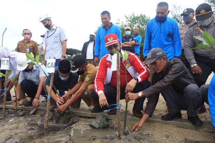 Penanaman Mangrove di desa Sawang Laut