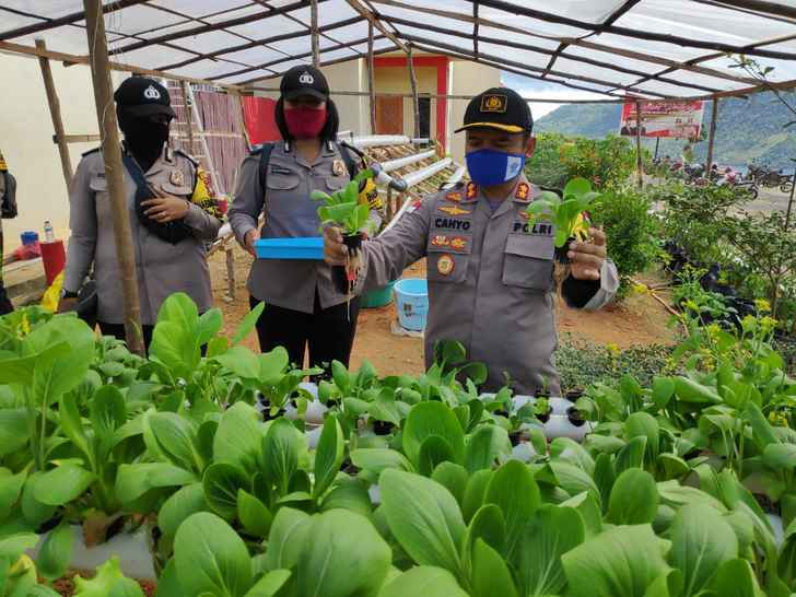 Kuatkan Ketahanan Pangan, Polres Anambas Menanam Tanaman Hidroponik Dalam Rangka Penanganan Covid 19