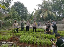 Kuatkan Ketahanan Pangan, Polsek Kundur Polres Karimun Tanam Sayuran dan Ternak Lele Tanaman ketahan pangan di mapolsek Kundur