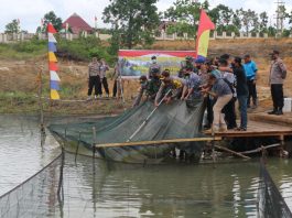Ketahanan Pangan, Polres Bintan panen raya