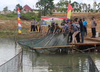 Ketahanan Pangan, Polres Bintan panen raya