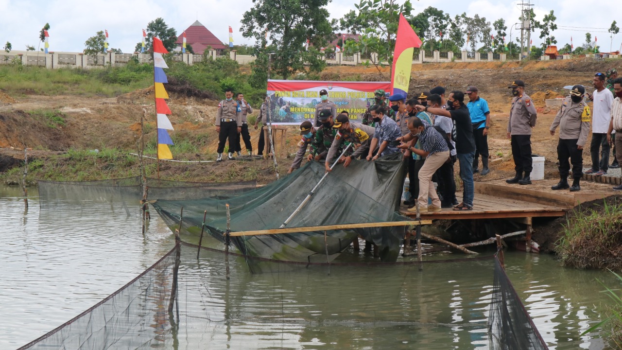 Polres Bintan Gelar Panen Raya Serentak Ketahanan Pangan Budidaya Ikan Air Tawar Dan Pertanian Jagung Polres Bintan Gelar Panen Raya Serentak Ketahanan Pangan Budidaya Ikan Air Tawar Dan Pertanian Jagung