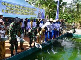 Lantamal IV Gelar Penebaran Bibit Ikan Lele Dan Nila