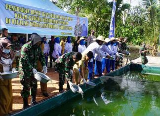 Lantamal IV Gelar Penebaran Bibit Ikan Lele Dan Nila