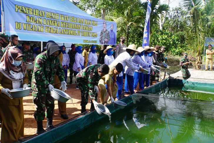 Lantamal IV Gelar Penebaran Bibit Ikan Lele Dan Nila