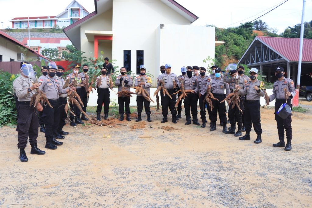 Polres Anambas Panen Raya Tanaman Ubi dan Sayuran