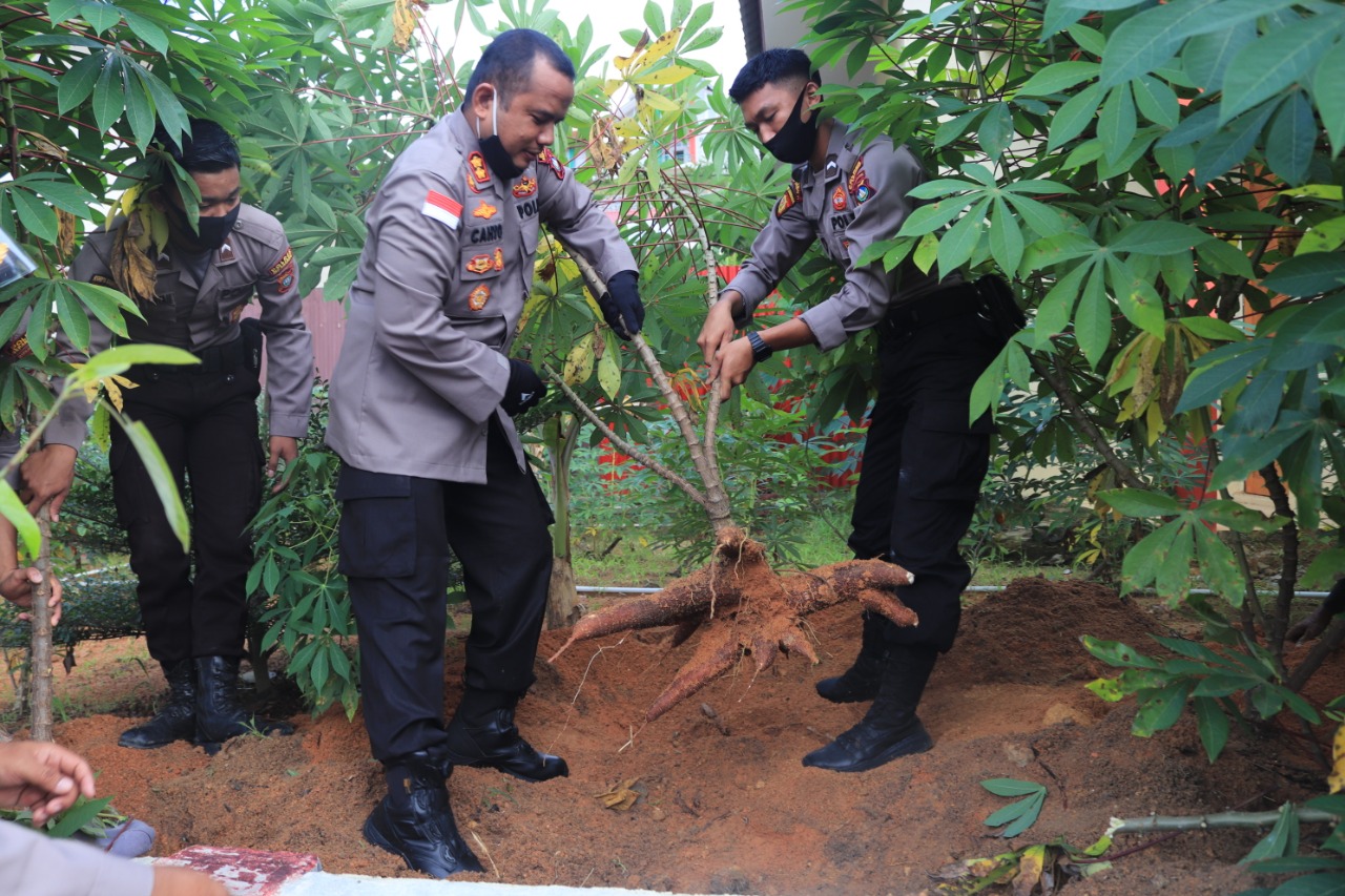 Polres Kepulauan Anambas Kembali Lakukan Panen Raya Polres Kepulauan Anambas Kembali Lakukan Panen Raya
