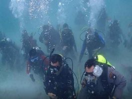 75 Penyelam terbaik Kepri