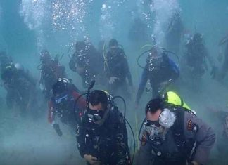 75 Penyelam terbaik Kepri