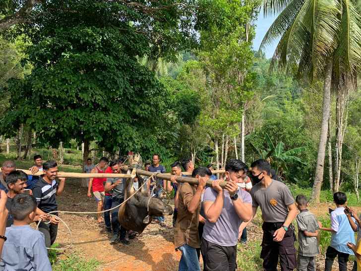 Idul Adha 1441 H, Polres Kepulauan Anambas Sembelih 5 Ekor Sapi