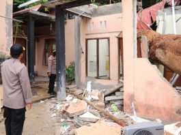 Rumah tertimpa pohon