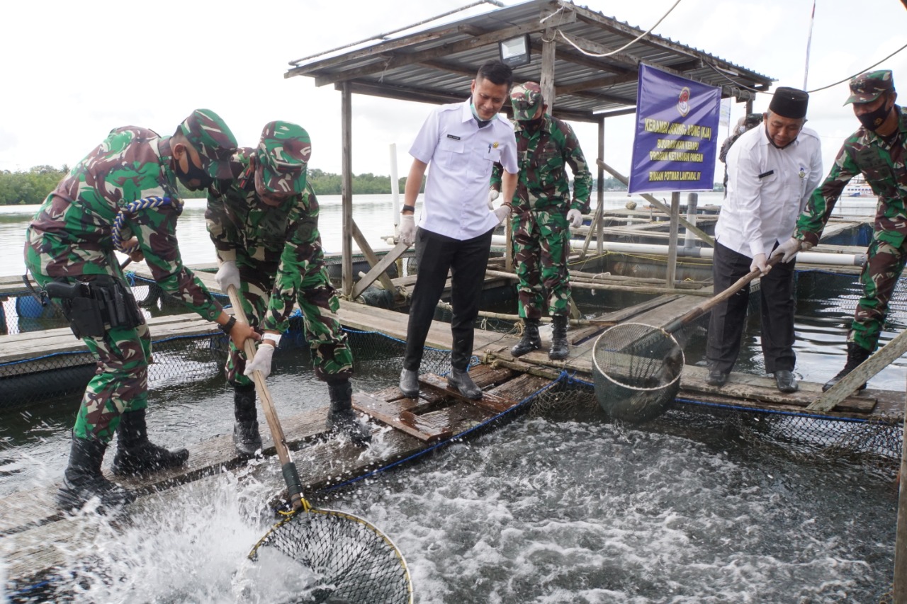 Panen Raya Ikan Kerapu Keramba Jaring Apung