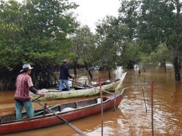 Pancang bibit propagul yang mengganggu aktifitas nelayan