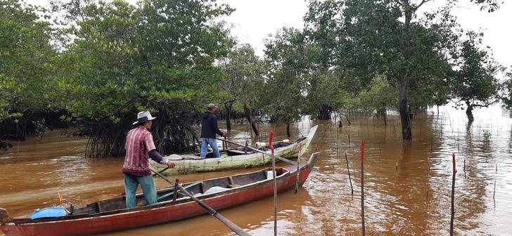 Masyarakat Mengkuse Sawang Selatan, Resah, Program Penanaman Mangrove Ganggu Aktifitas Nelayan