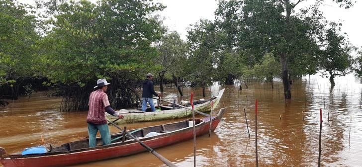Masyarakat Mengkuse Sawang Selatan, Resah, Program Penanaman Mangrove Ganggu Aktifitas Nelayan Masyarakat Mengkuse Sawang Selatan, Resah, Program Penanaman Mangrove Ganggu Aktifitas Nelayan