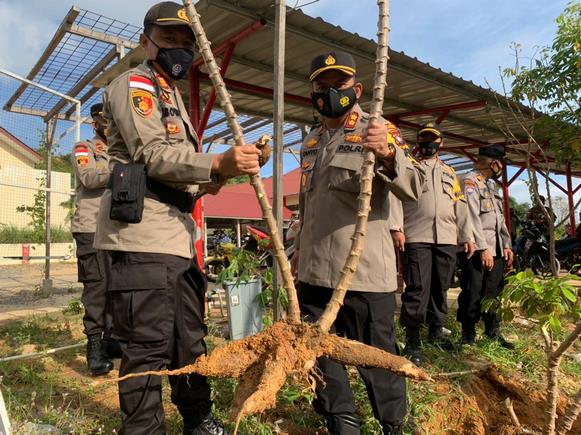 Kapolres Anambas, AKBP Cakhyo Dipo Alam, saat mencabut ubi