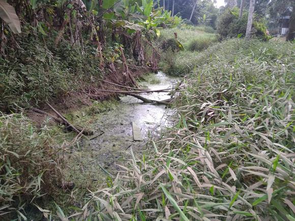 Limbah pabrik batu bara di Tanjungbatu