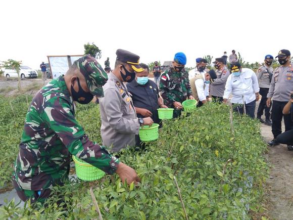 Inilah Keberhasilan Desa Teluk Radang Sehingga Dipilih Sebagai Kampung Tangguh Inilah Keberhasilan Desa Teluk Radang Sehingga Dipilih Sebagai Kampung Tangguh