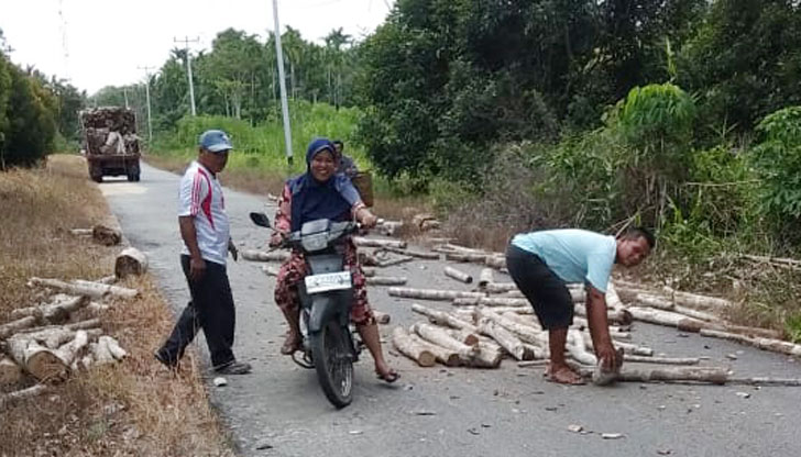 Lori Angkutan Kayu Di Pulau Kundur Sangat Meresahkan Warga