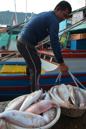 Hasil Tangkapan nelayan Anambas