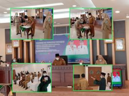 Pimpinan-Tinggi-Pratama,-Pejabat-Administrator-Dan-Pejabat-Fungsional-KKA