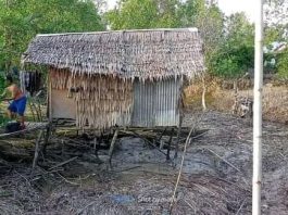 Gubuk tempat kediaman Hamar di Inhil