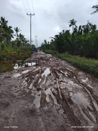 Kondisi Jalan Parit Penyiruk Desa Sungai Danai, Kecamatan Pulau Burung, Inhil, Riau