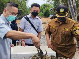 PT Timah saat menyerahkan bantuan 1.000 bibit kepiting kepada Pokdakan Tuah Ketam Desa Sawang Laut Kecamatan Kundur Barat