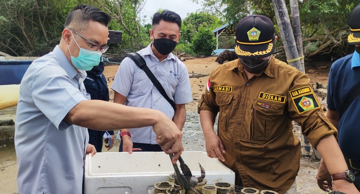 Tingkatkan Kesejahteraan Nelayan, PT Timah Serahkan 1.000 Ekor Bibit Kepiting untuk Pokdakan Tuah Ketam