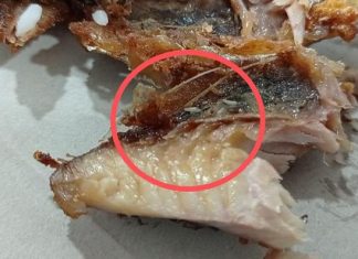 Makanan pasien covid-19 di tembilahan, ada ulat