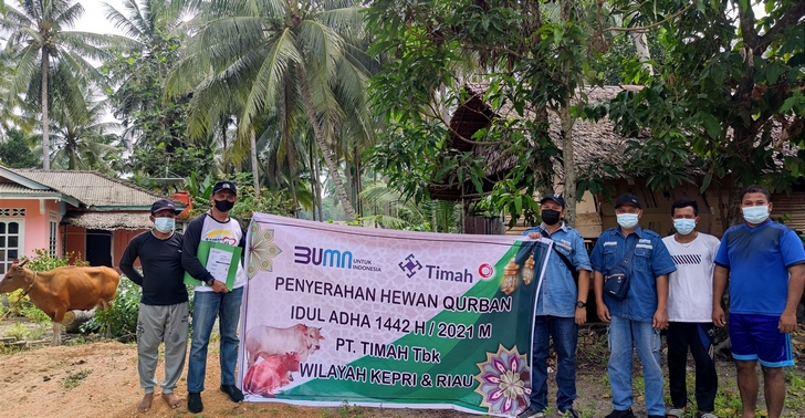 PT Timah bagikan hewan kurban