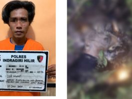 Pria-bunuh-istri-karena-cemburu