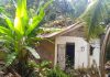Rumah Maryam, warga Gading Sari yang tertimpa pohon durian