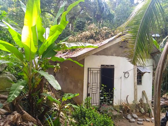 Rumah Maryam, warga Gading Sari yang tertimpa pohon durian