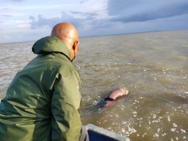 Evakuasi nelayan yang hiilang saat melaut