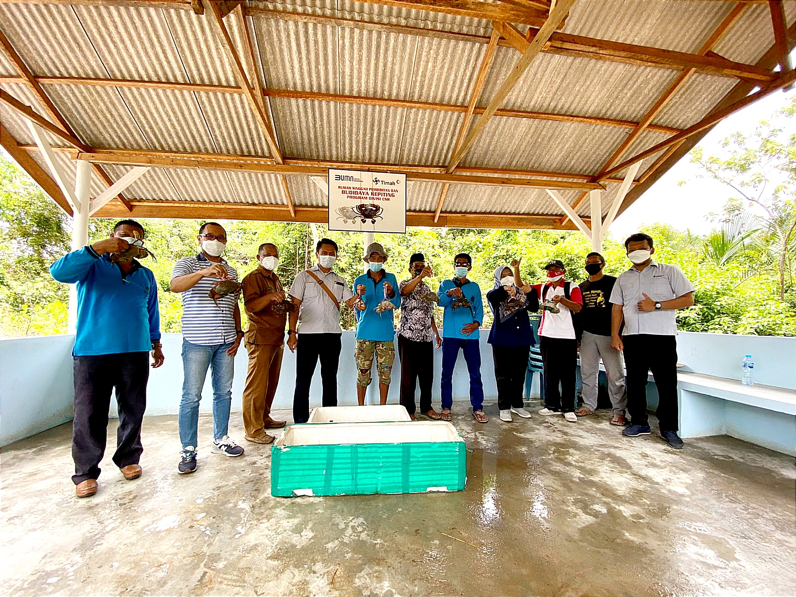 Budidaya Kepiting Bersama PT Timah Tbk, Pokdakan Tuah Ketam Panen Hingga Puluhan Kilo