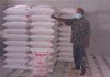 Tepung sagu Sinar, siap didistribusikan