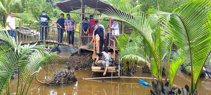 Bidik Peluang Usaha Kepiting, Erwin Sukses Budidaya Kepiting di Desa Gemuruh