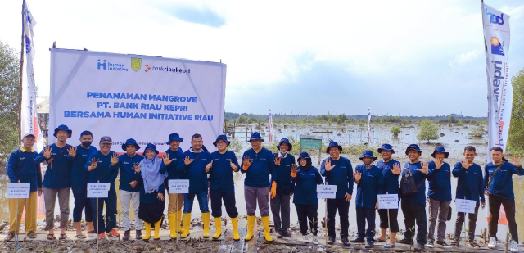PT Bank Riau Kepri dan Human Initiative Riau Tanam 10 Ribu Bibit Mangrove