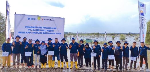 PT Bank Riau Kepri dan Human Initiative Riau Tanam 10 Ribu Bibit Mangrove PT Bank Riau Kepri dan Human Initiative Riau Tanam 10 Ribu Bibit Mangrove