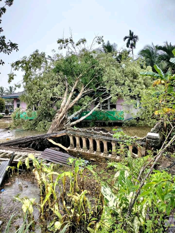 Pohon Besar Tumbang Menimpa Bangunan Sekolah PAUD