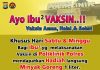 Minyak goreng gratis