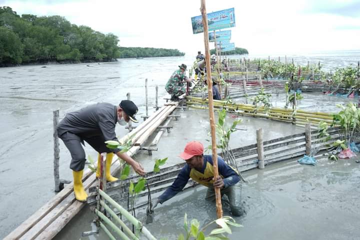 Bupati Asahan bersama Forkopimda Asahan lakukan Penanaman Pohon Mangrove dalam mendukung Program Pemerintah.