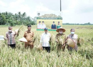 Pemkab Asahan melalui Dinas Pertanian akan terus berupaya memberikan pelayanan dan support kepada para petani