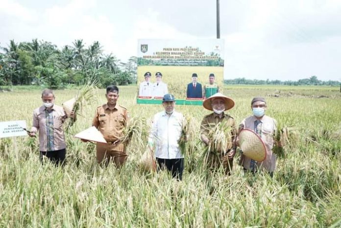Pemkab Asahan melalui Dinas Pertanian akan terus berupaya memberikan pelayanan dan support kepada para petani Pemkab Asahan melalui Dinas Pertanian akan terus berupaya memberikan pelayanan dan support kepada para petani