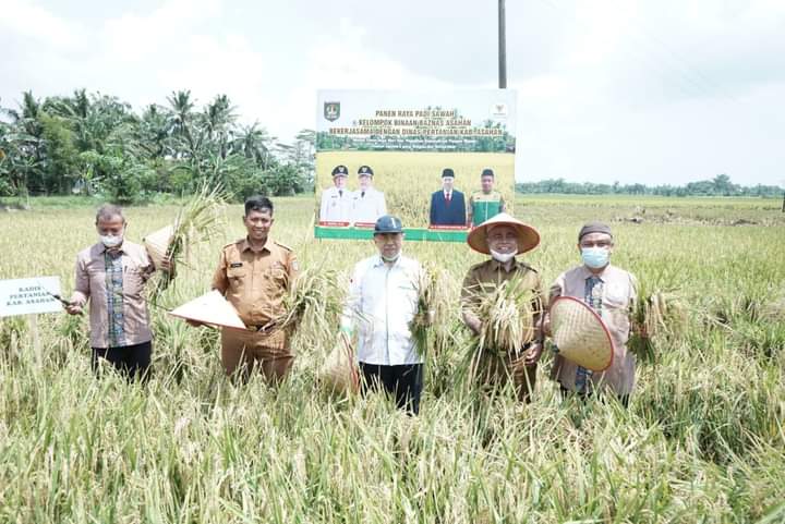 Pemkab Asahan melalui Dinas Pertanian akan terus berupaya memberikan pelayanan dan support kepada para petani